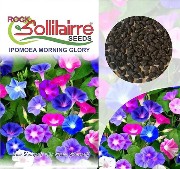 🌱 Varieties of Flower Seeds - 🔥Last Day Sale 50% OFF 🔥