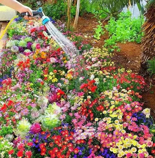 🌱 Varieties of Flower Seeds - 🔥Last Day Sale 50% OFF 🔥