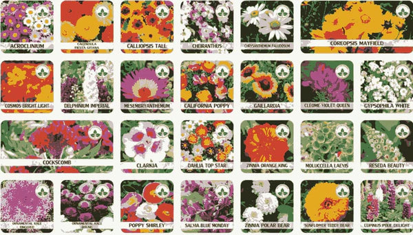 🌱 Varieties of Flower Seeds - 🔥Last Day Sale 50% OFF 🔥