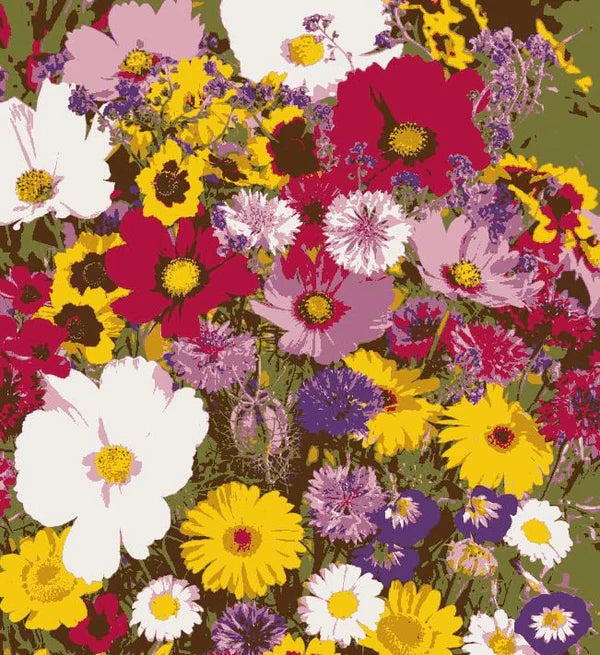 🌱 Varieties of Flower Seeds - 🔥Last Day Sale 50% OFF 🔥